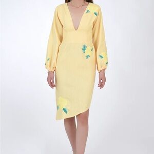 Fanm Mon - Over Dress NWT Size Small
